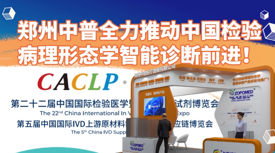 ̫���ɼ���61999����